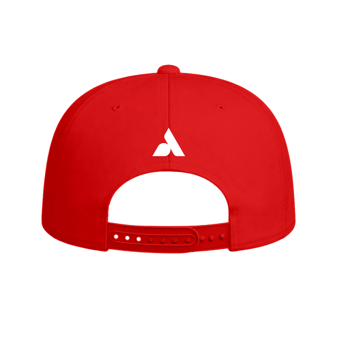 Tin Caps Baseball Snapback
