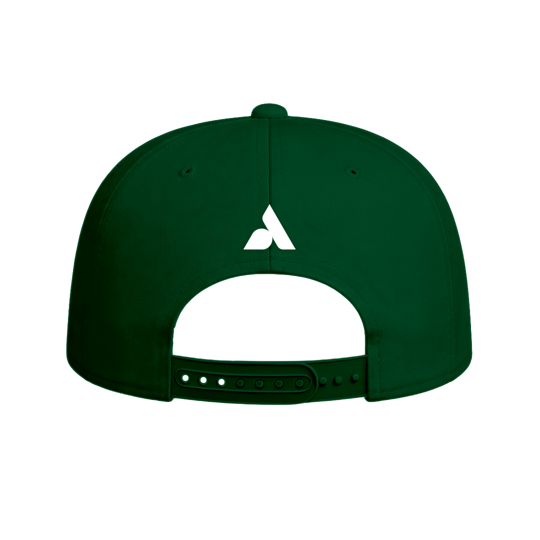 SD Vipers Baseball Snapback Hat