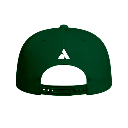 SD Vipers Baseball Snapback Hat