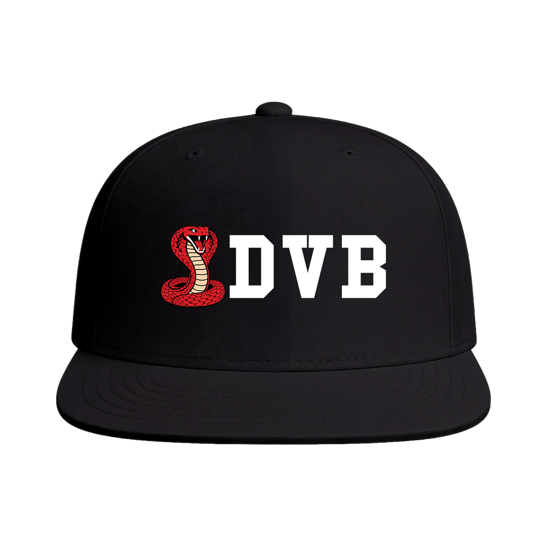 Desert Valley Vipers Baseball Snapback Hat
