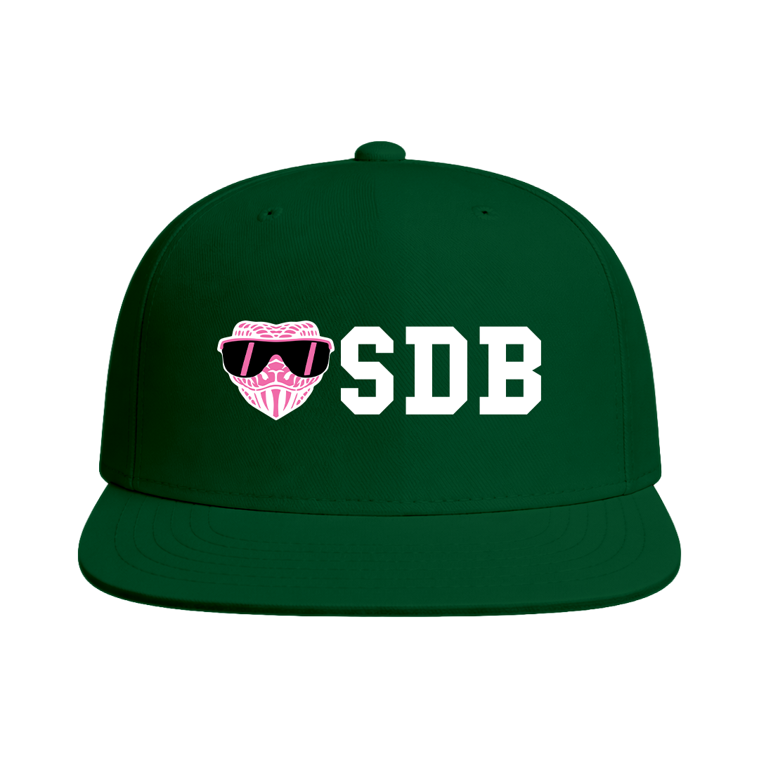 SD Vipers Baseball Snapback Hat