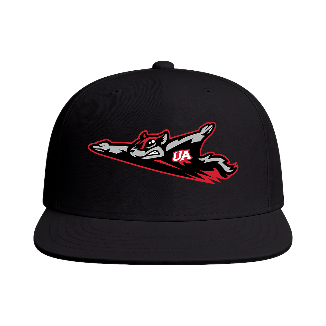 Flying Squirrels Baseball Snapback